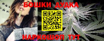 крисы Балашиха